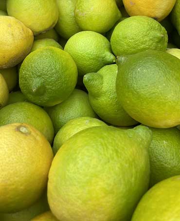 Limoni